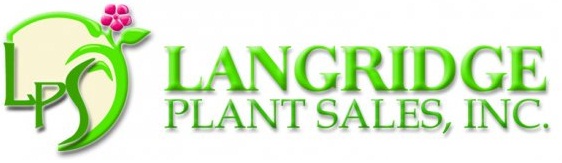 LPS Logo