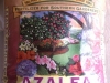 Gardenia-Azalea-Camellia Feed