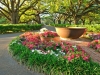 Oak Alley Plantation